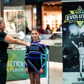 Evolution Bolka