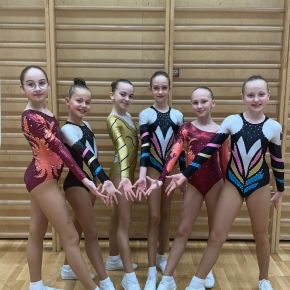 nej aerobic